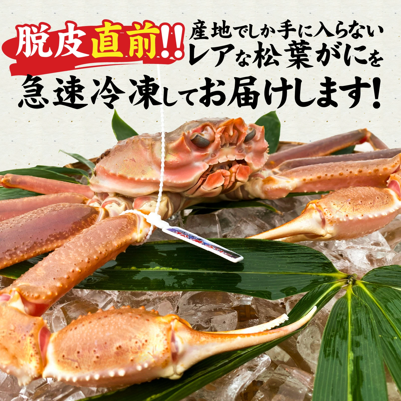 02240-01 洋菓子と異国情緒あふれる街、海と山の自然に囲まれている