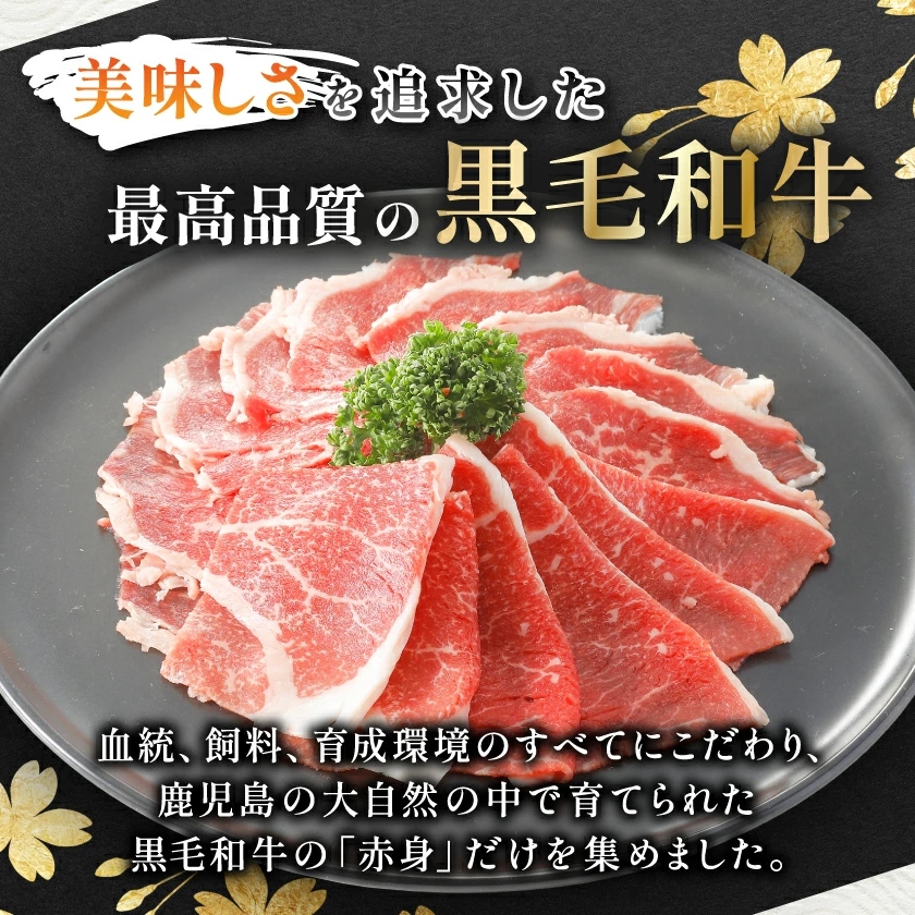 1616201lp_02 本土最南端の始発・終着駅がある港まち