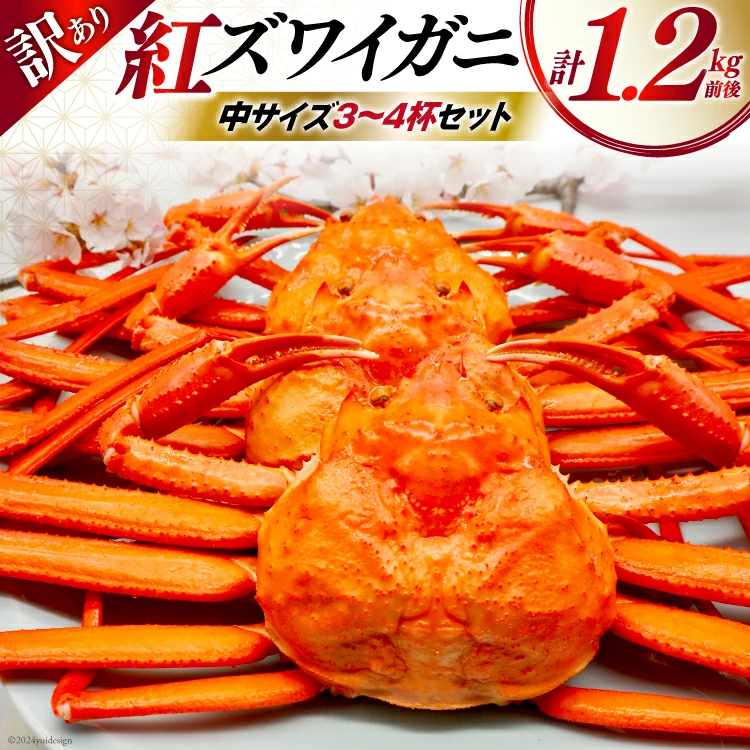 34310455 世界にも類を見ない急峻な地域。多彩な海の幸の宝庫