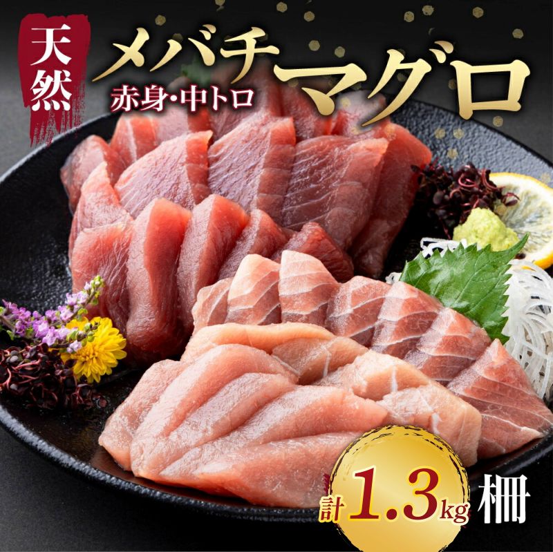 tk179-01 自然いっぱいの山！食事とお酒が美味で坂本龍馬と鰹が代名詞