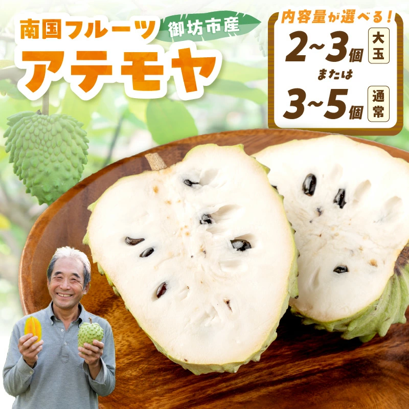 1039-5_sku 日本初の外海での人工島方式で発電所を建設