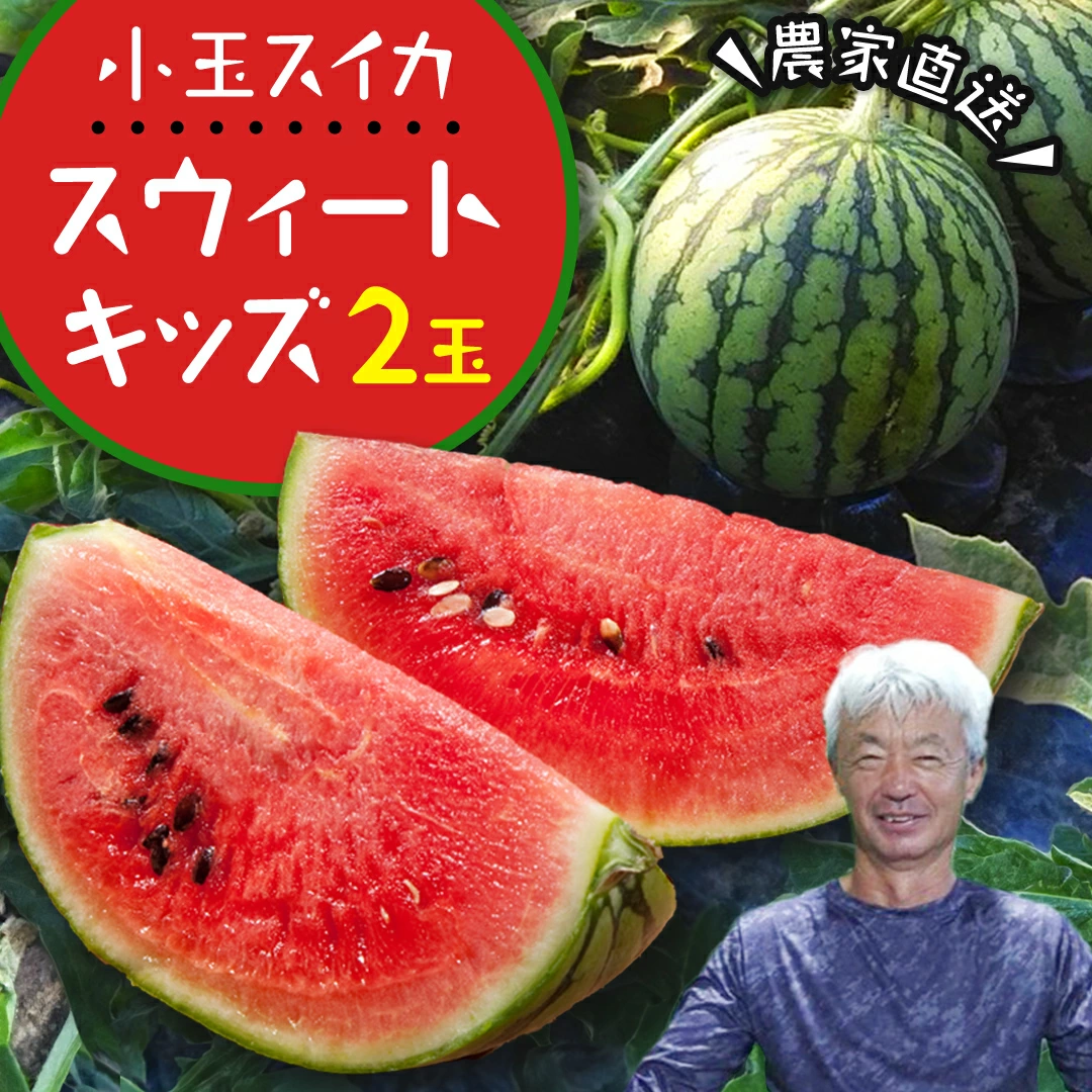 cq001sa-1-4 400年以上の歴史と伝統のお祭りが大切に受け継がれています。